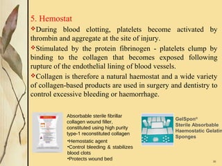 5. Hemostat
During blood clotting, platelets become activated by
thrombin and aggregate at the site of injury.
Stimulated by the protein fibrinogen - platelets clump by
binding to the collagen that becomes exposed following
rupture of the endothelial lining of blood vessels.
Collagen is therefore a natural haemostat and a wide variety
of collagen-based products are used in surgery and dentistry to
control excessive bleeding or haemorrhage.
  36
Absorbable sterile fibrillar
collagen wound filler,
constituted using high purity 
type-1 reconstituted collagen
•Hemostatic agent
•Control bleeding & stabilizes
blood clots
•Protects wound bed
GelSpon®
Sterile Absorbable
Haemostatic Gelatin
Sponges
 
 