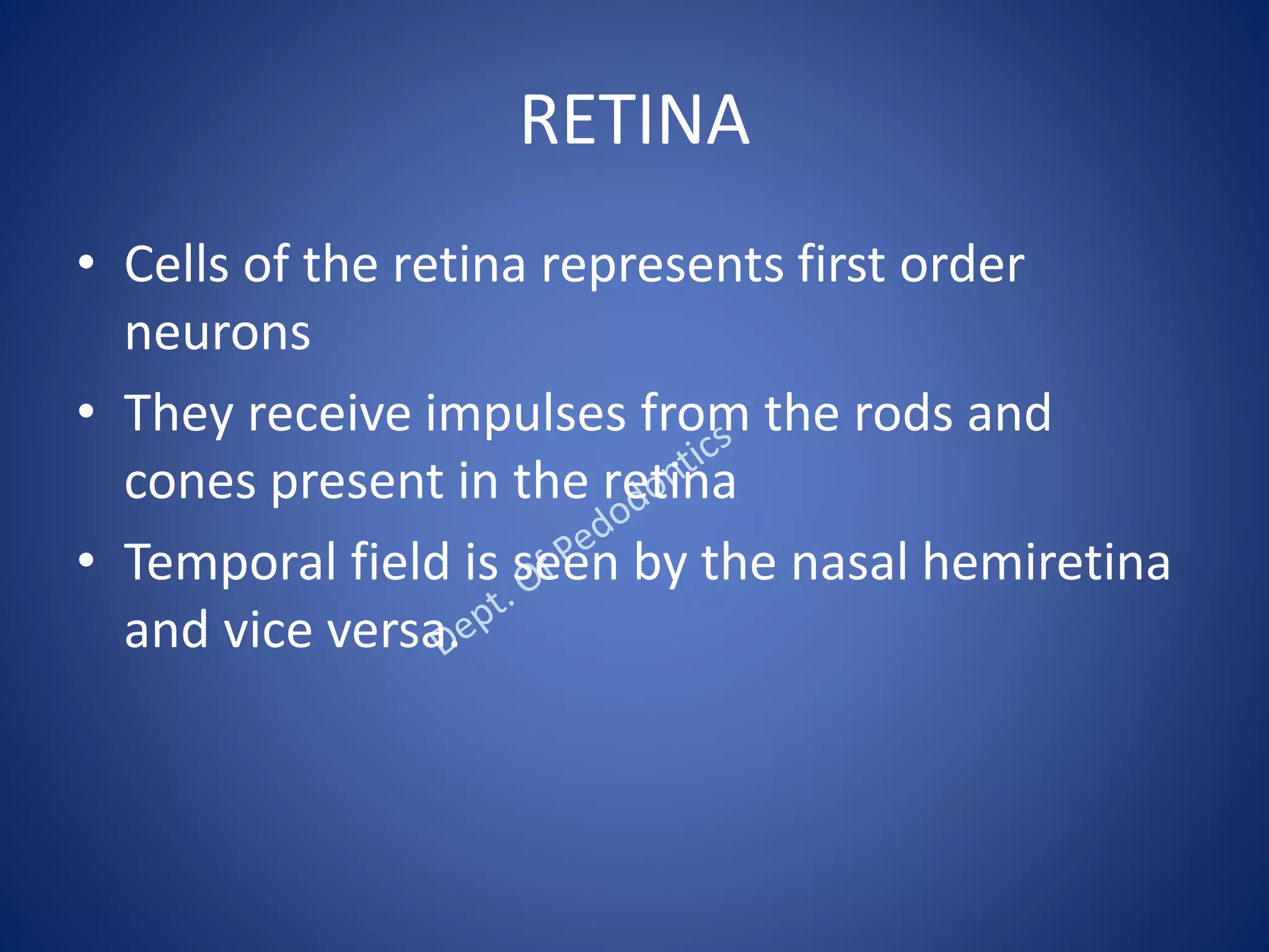 RETINA
• Cells of the retina represents first order
neurons
• They receive impulses from the rods and
cones present in the retina
• Temporal field is seen by the nasal hemiretina
and vice versa.
 