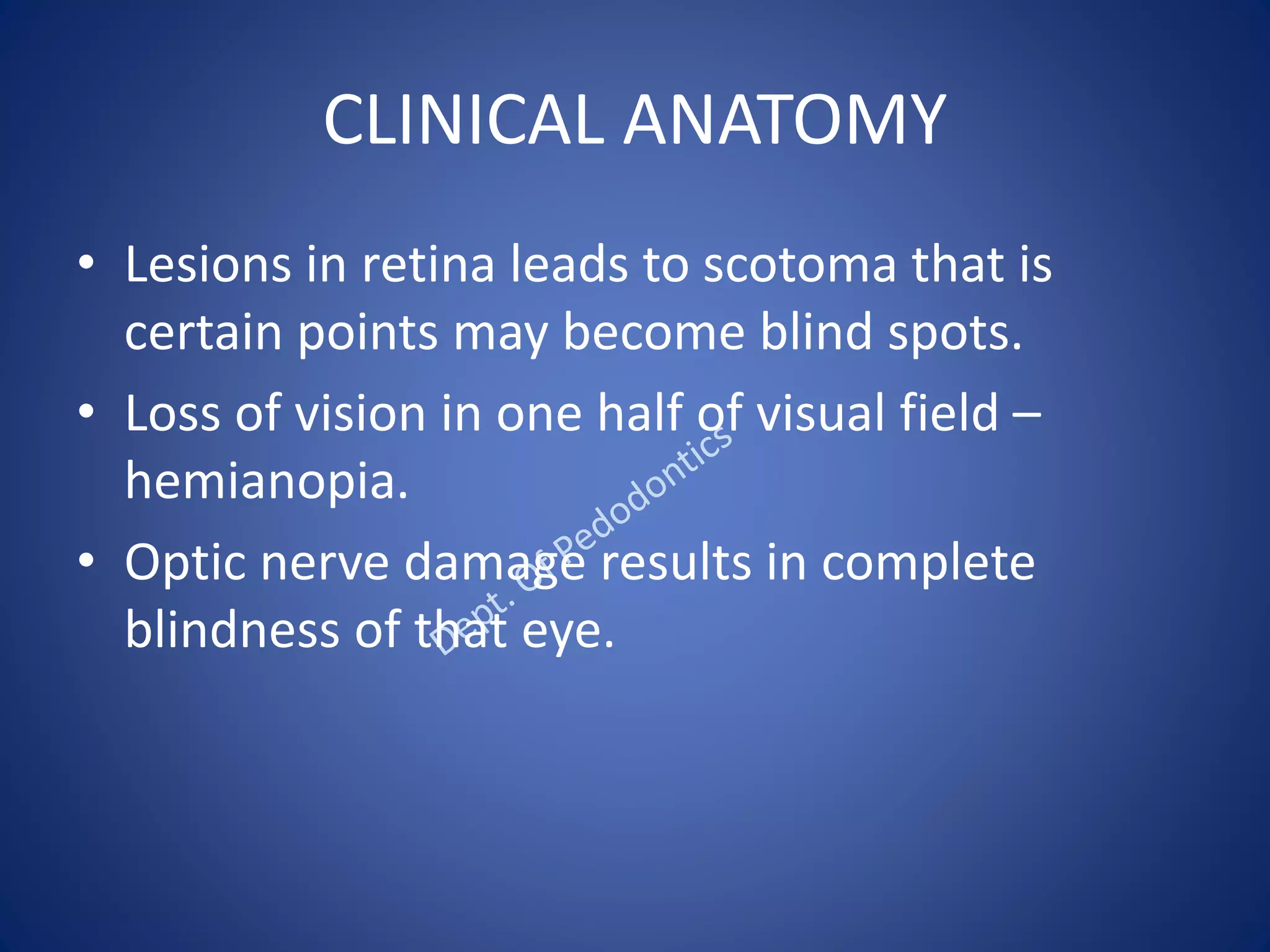 CLINICAL ANATOMY
• Lesions in retina leads to scotoma that is
certain points may become blind spots.
• Loss of vision in one half of visual field –
hemianopia.
• Optic nerve damage results in complete
blindness of that eye.
 