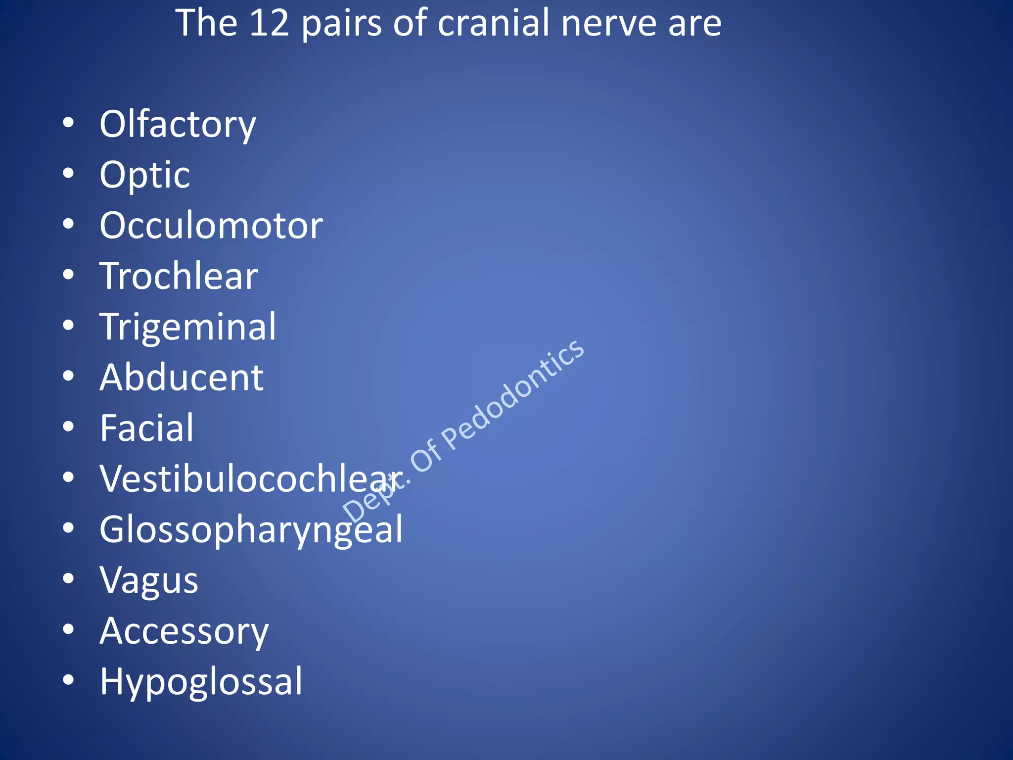 The 12 pairs of cranial nerve are
• Olfactory
• Optic
• Occulomotor
• Trochlear
• Trigeminal
• Abducent
• Facial
• Vestibulocochlear
• Glossopharyngeal
• Vagus
• Accessory
• Hypoglossal
 