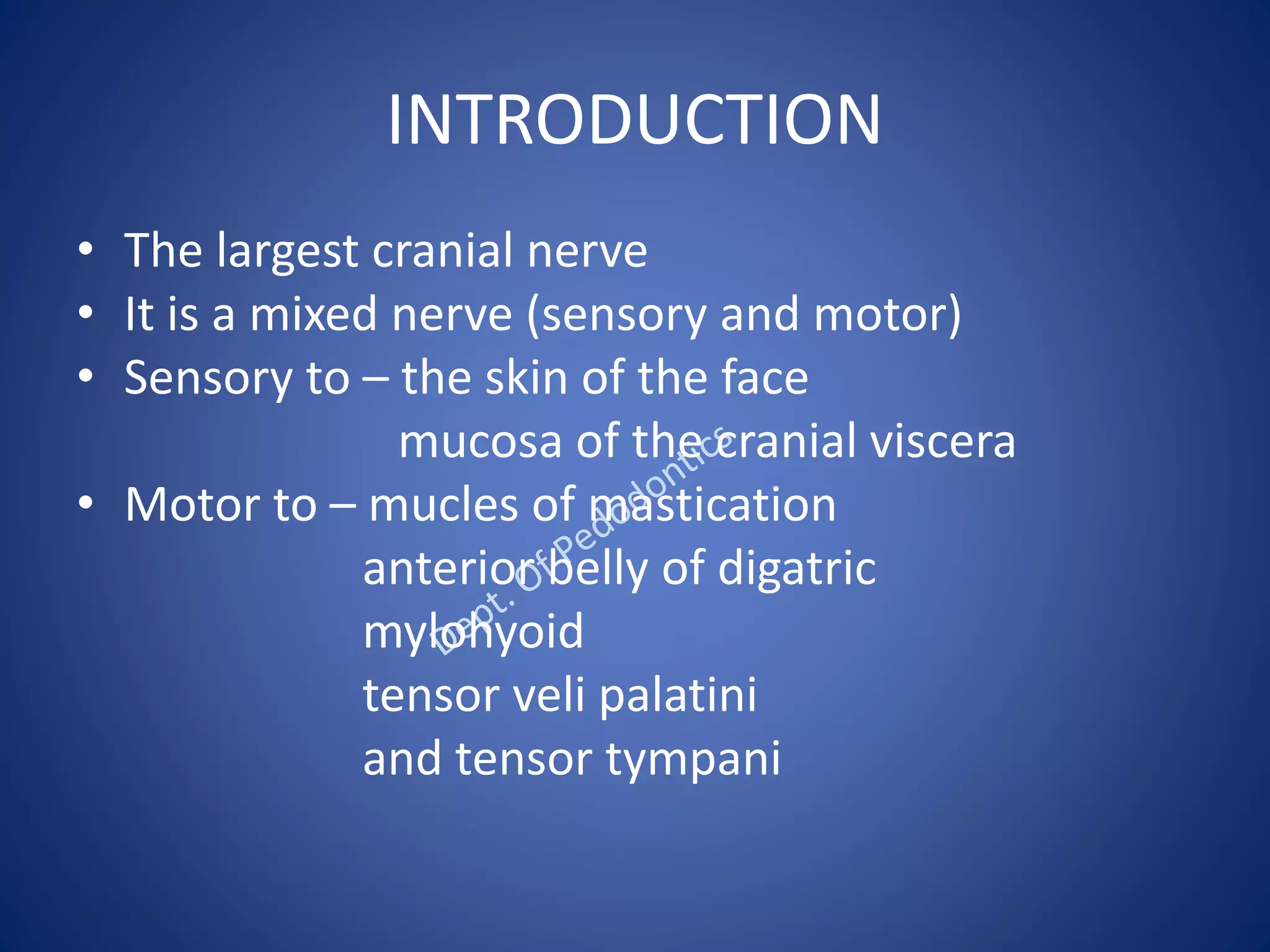 INTRODUCTION
• The largest cranial nerve
• It is a mixed nerve (sensory and motor)
• Sensory to – the skin of the face
mucosa of the cranial viscera
• Motor to – mucles of mastication
anterior belly of digatric
mylohyoid
tensor veli palatini
and tensor tympani
 