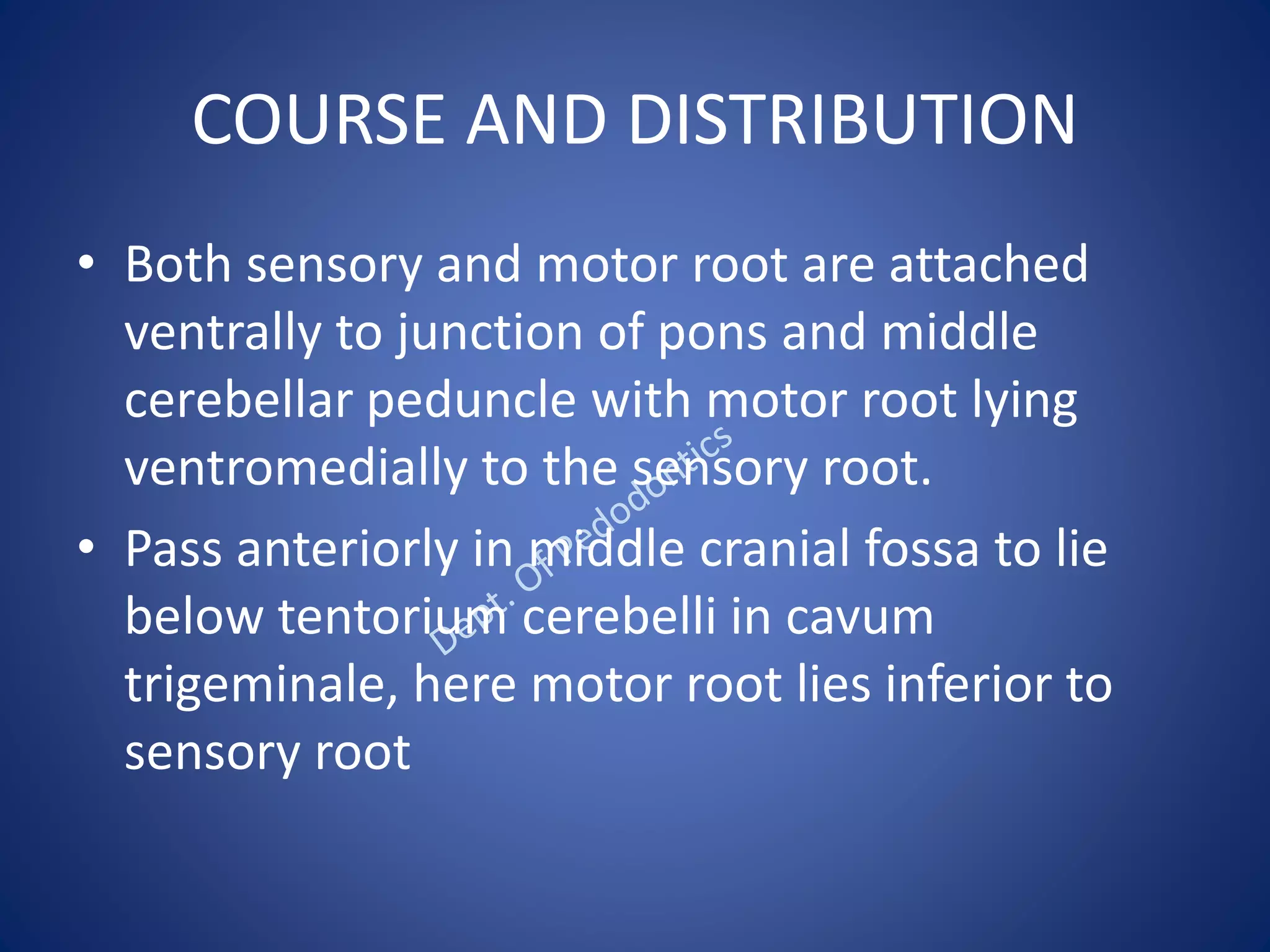 COURSE AND DISTRIBUTION
• Both sensory and motor root are attached
ventrally to junction of pons and middle
cerebellar peduncle with motor root lying
ventromedially to the sensory root.
• Pass anteriorly in middle cranial fossa to lie
below tentorium cerebelli in cavum
trigeminale, here motor root lies inferior to
sensory root
 