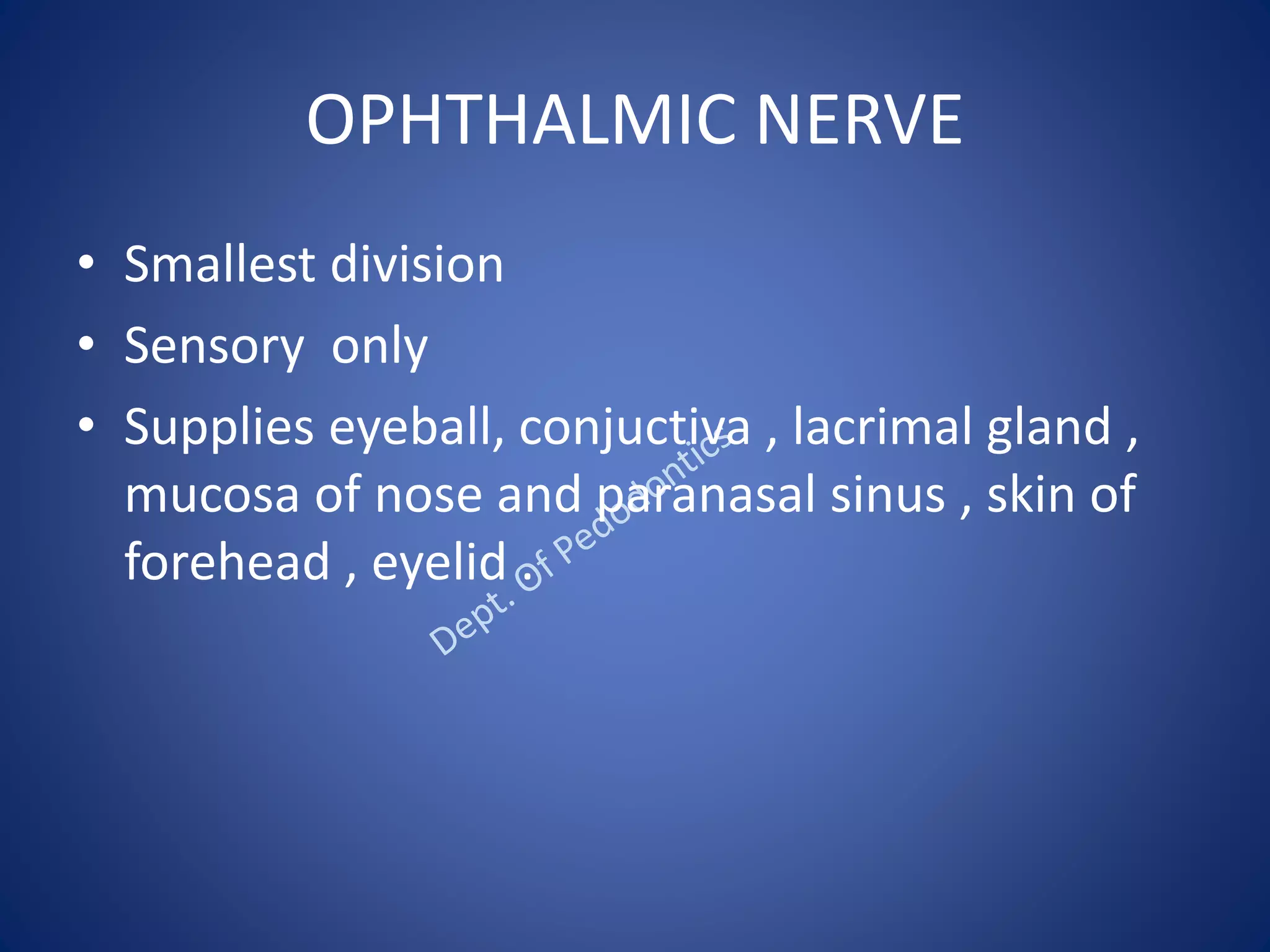 OPHTHALMIC NERVE
• Smallest division
• Sensory only
• Supplies eyeball, conjuctiva , lacrimal gland ,
mucosa of nose and paranasal sinus , skin of
forehead , eyelid .
 