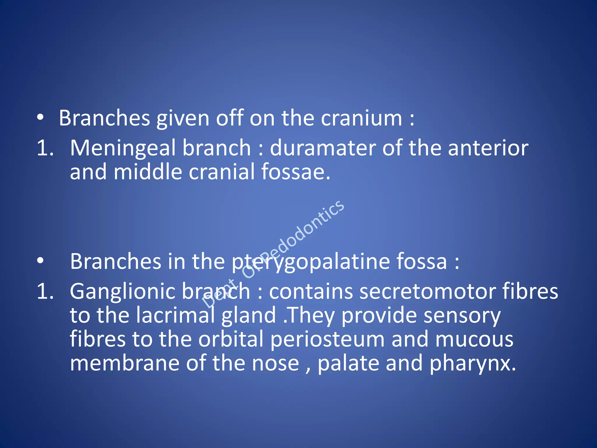 • Branches given off on the cranium :
1. Meningeal branch : duramater of the anterior
and middle cranial fossae.
• Branches in the pterygopalatine fossa :
1. Ganglionic branch : contains secretomotor fibres
to the lacrimal gland .They provide sensory
fibres to the orbital periosteum and mucous
membrane of the nose , palate and pharynx.
 