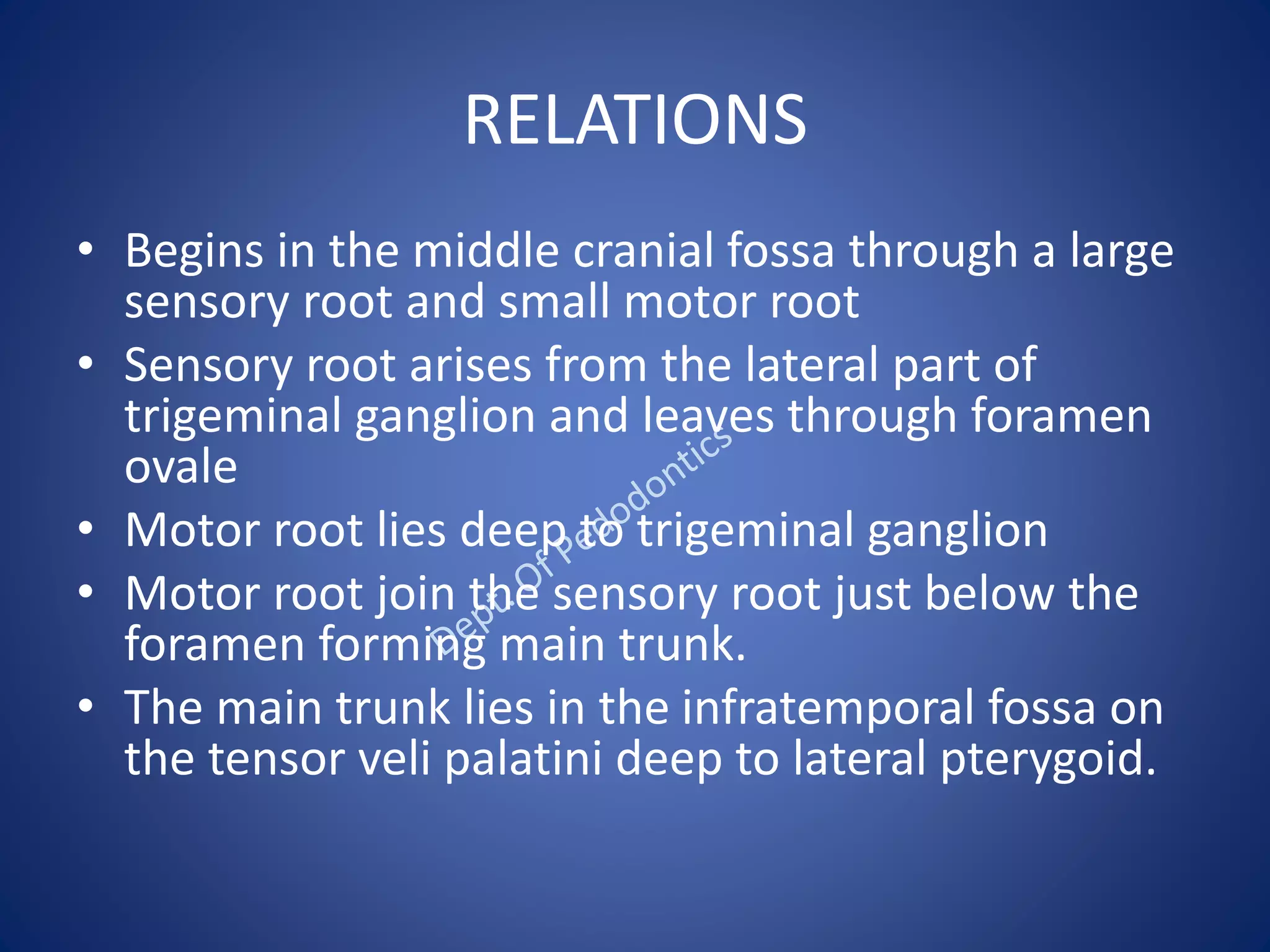 RELATIONS
• Begins in the middle cranial fossa through a large
sensory root and small motor root
• Sensory root arises from the lateral part of
trigeminal ganglion and leaves through foramen
ovale
• Motor root lies deep to trigeminal ganglion
• Motor root join the sensory root just below the
foramen forming main trunk.
• The main trunk lies in the infratemporal fossa on
the tensor veli palatini deep to lateral pterygoid.
 