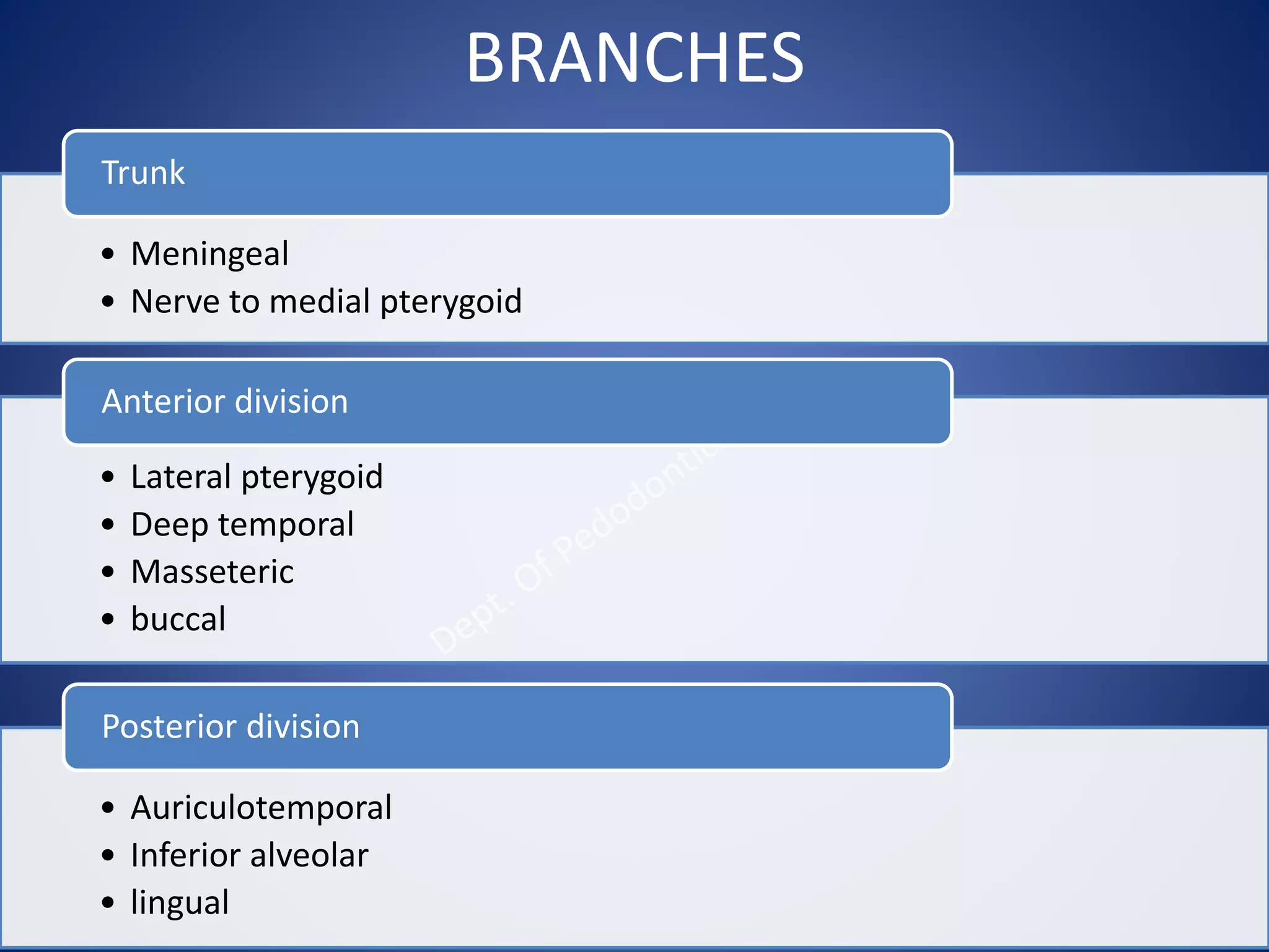 BRANCHES
• Meningeal
• Nerve to medial pterygoid
Trunk
• Lateral pterygoid
• Deep temporal
• Masseteric
• buccal
Anterior division
• Auriculotemporal
• Inferior alveolar
• lingual
Posterior division
 