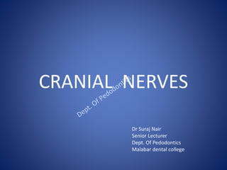 CRANIAL NERVES
Dr Suraj Nair
Senior Lecturer
Dept. Of Pedodontics
Malabar dental college
 