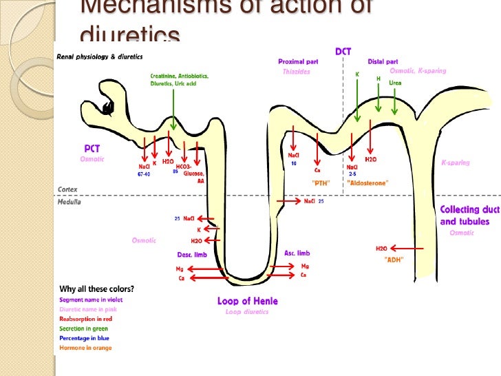 diuretics mechanism of action ncbi