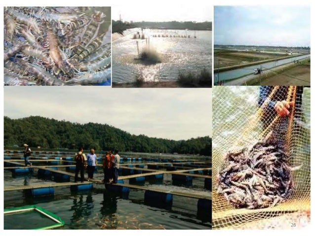 Prospect &amp; Overview of Aquaculture in Malaysia [ English ]