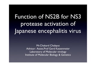 Function of NS2B for NS3
   protease activation of
Japanese encephalitis virus

               Mr.Chakard Chalayut
     Advisor: Assist.Prof Gerd Katzenmeier
         Laboratory of Molecular virology
    Institute of Molecular Biology & Genetics