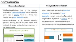 POLYPLOID CROP RESEARCH IN THE AGE OF GENOMICS | PPTX