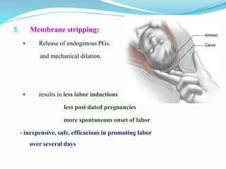 5. Membrane stripping:
 Release of endogenous PGs.
and mechanical dilation.
 results in less labor inductions
less post dated pregnancies
more spontaneous onset of labor
- inexpensive, safe, efficacious in promoting labor
over several days
 