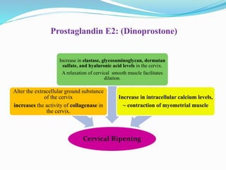 Cervical Ripening
Alter the extracellular ground substance
of the cervix
increases the activity of collagenase in
the cervix.
Increase in elastase, glycosaminoglycan, dermatan
sulfate, and hyaluronic acid levels in the cervix.
A relaxation of cervical smooth muscle facilitates
dilation.
Increase in intracellular calcium levels,
~ contraction of myometrial muscle
Prostaglandin E2: (Dinoprostone)
 