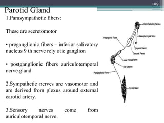 Parotid Gland
109
1.Parasympathetic fibers:
These are secretomotor
• preganglionic fibers – inferior salivatory
nucleus 9 th nerve rely otic ganglion
• postganglionic fibers auriculotemporal
nerve gland
2.Sympathetic nerves are vasomotor and
are derived from plexus around external
carotid artery.
3.Sensory nerves come from
auriculotemporal nerve.
 