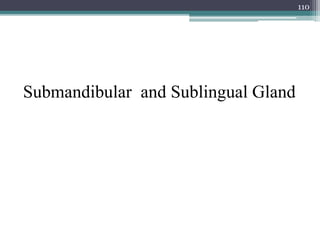 Submandibular and Sublingual Gland
110
 