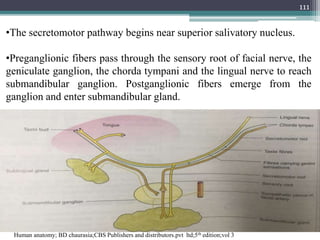 111
•The secretomotor pathway begins near superior salivatory nucleus.
•Preganglionic fibers pass through the sensory root of facial nerve, the
geniculate ganglion, the chorda tympani and the lingual nerve to reach
submandibular ganglion. Postganglionic fibers emerge from the
ganglion and enter submandibular gland.
Human anatomy; BD chaurasia;CBS Publishers and distributors.pvt ltd;5th edition;vol 3
 
