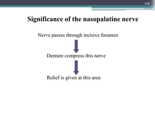 Significance of the nasopalatine nerve
Nerve passes through incisive foramen
Denture compress this nerve
Relief is given at this area
116
 