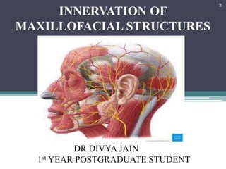 DR DIVYA JAIN
1st YEAR POSTGRADUATE STUDENT
INNERVATION OF
MAXILLOFACIAL STRUCTURES
2
 