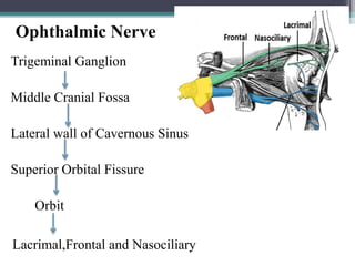 Ophthalmic Nerve
Trigeminal Ganglion
Middle Cranial Fossa
Lateral wall of Cavernous Sinus
Superior Orbital Fissure
Orbit
37
Lacrimal,Frontal and Nasociliary
 