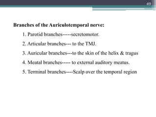 Branches of the Auriculotemporal nerve:
1. Parotid branches-----secretomotor.
2. Articular branches--- to the TMJ.
3. Auricular branches---to the skin of the helix & tragus
4. Meatal branches----- to external auditory meatus.
5. Terminal branches----Scalp over the temporal region
49
 