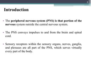 • The peripheral nervous system (PNS) is that portion of the
nervous system outside the central nervous system.
• The PNS conveys impulses to and from the brain and spinal
cord.
• Sensory receptors within the sensory organs, nerves, ganglia,
and plexuses are all part of the PNS, which serves virtually
every part of the body.
5
Introduction
 