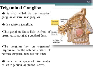 Trigeminal Ganglion
It is also called as the gasserian
ganglion or semilunar ganglion.
It is a sensory ganglion.
This ganglion lies a little in front of
preauricular point at a depth of 5cm.
The ganglion lies on trigeminal
impression on the anterior surface of
petrous temporal bone near its apex.
It occupies a space of dura mater
called trigeminal or meckel’s cave.
50
 