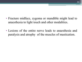 • Fracture midface, zygoma or mandible might lead to
anaesthesia to light touch and other modalities.
• Lesions of the entire nerve leads to anaesthesia and
paralysis and atrophy of the muscles of mastication.
53
 