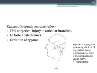 Causes of trigeminocardiac reflex-
• TMJ surgeries- injury to articular branches.
• Le forte 1 osteotomies
• Elevation of zygoma.
1-gasserian ganglion
2-sensory nucleus of
trigeminal nerve
3-internuncial fibre
4-motor nucleus of
vagus nerve
5- vagus nerve
55
 