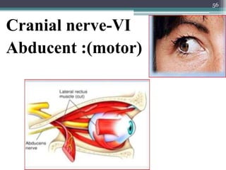 56
Cranial nerve-VI
Abducent :(motor)
 