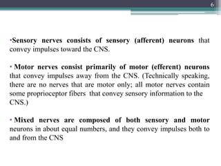 6
•Sensory nerves consists of sensory (afferent) neurons that
convey impulses toward the CNS.
• Motor nerves consist primarily of motor (efferent) neurons
that convey impulses away from the CNS. (Technically speaking,
there are no nerves that are motor only; all motor nerves contain
some proprioceptor fibers that convey sensory information to the
CNS.)
• Mixed nerves are composed of both sensory and motor
neurons in about equal numbers, and they convey impulses both to
and from the CNS
 