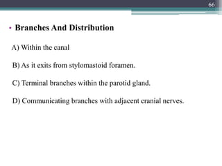 • Branches And Distribution
A) Within the canal
B) As it exits from stylomastoid foramen.
C) Terminal branches within the parotid gland.
D) Communicating branches with adjacent cranial nerves.
66
 