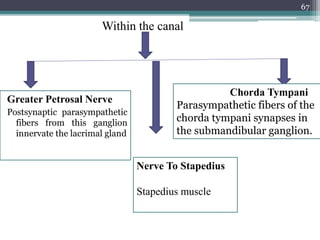 Greater Petrosal Nerve
Postsynaptic parasympathetic
fibers from this ganglion
innervate the lacrimal gland
Within the canal
Nerve To Stapedius
Stapedius muscle
Chorda Tympani
Parasympathetic fibers of the
chorda tympani synapses in
the submandibular ganglion.
67
 