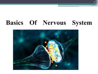Basics Of Nervous System
7
 