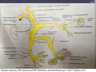 70
Human anatomy; BD chaurasia;CBS Publishers and distributors.pvt ltd;5th edition;vol 3
 