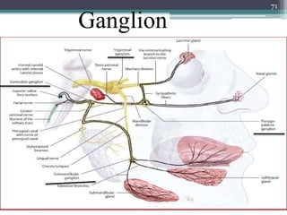 Ganglion
71
 