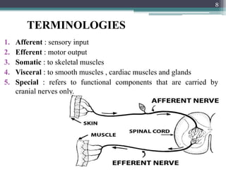 1. Afferent : sensory input
2. Efferent : motor output
3. Somatic : to skeletal muscles
4. Visceral : to smooth muscles , cardiac muscles and glands
5. Special : refers to functional components that are carried by
cranial nerves only.
TERMINOLOGIES
8
 