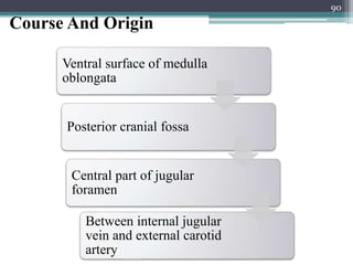 Course And Origin
Ventral surface of medulla
oblongata
Posterior cranial fossa
Central part of jugular
foramen
Between internal jugular
vein and external carotid
artery
90
 