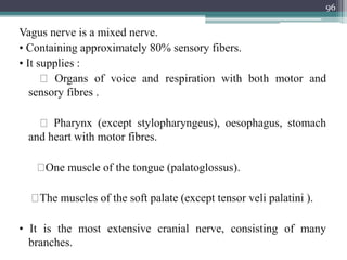 Vagus nerve is a mixed nerve.
• Containing approximately 80% sensory fibers.
• It supplies :
Organs of voice and respiration with both motor and
sensory fibres .
Pharynx (except stylopharyngeus), oesophagus, stomach
and heart with motor fibres.
One muscle of the tongue (palatoglossus).
The muscles of the soft palate (except tensor veli palatini ).
• It is the most extensive cranial nerve, consisting of many
branches.
96
 