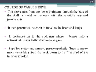 COURSE OF VAGUS NERVE
• The nerve runs from the lower brainstem through the base of
the skull to travel in the neck with the carotid artery and
jugular vein.
• It then penetrates the chest to travel to the heart and lungs.
• It continues on to the abdomen where it breaks into a
network of nerves to the abdominal organs.
• Supplies motor and sensory parasympathetic fibres to pretty
much everything from the neck down to the first third of the
transverse colon.
97
 