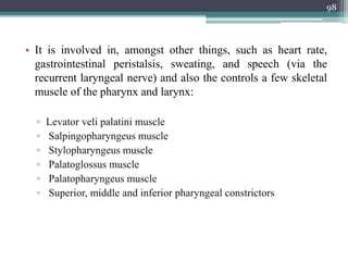 • It is involved in, amongst other things, such as heart rate,
gastrointestinal peristalsis, sweating, and speech (via the
recurrent laryngeal nerve) and also the controls a few skeletal
muscle of the pharynx and larynx:
▫ Levator veli palatini muscle
▫ Salpingopharyngeus muscle
▫ Stylopharyngeus muscle
▫ Palatoglossus muscle
▫ Palatopharyngeus muscle
▫ Superior, middle and inferior pharyngeal constrictors
98
 