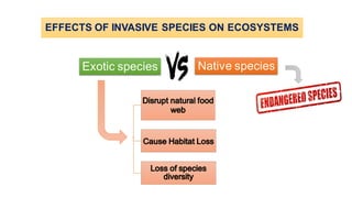 EFFECTS OF INVASIVE SPECIES ON ECOSYSTEMS
Native speciesExotic species
 