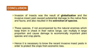 CONCLUSION
• Invasion of insects was the result of globalization and the
invasive insect pest caused substantial damage to the native flora
and fauna, and also resulted in the extinction of species.
• These species, if not accompanied by the natural enemies which
keep them in check in their native range, can multiply in large
proportion and cause damage to economically important plant
species and crop plants.
• Hence it is necessary to know the recent invasive insect pests in
order to protect the crops from economic loss.
 