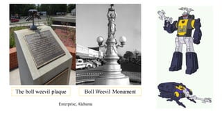 The boll weevil plaque Boll Weevil Monument
Enterprise, Alabama
 