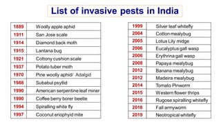 List of invasive pests in India
Woolly apple aphid
San Jose scale
Diamond back moth
Lantana bug
Cottony cushion scale
Potato tuber moth
Pine woolly aphid/ Adalgid
Subabul psyllid
American serpentine leaf miner
Coffee berry borer beetle
Spiralling white fly
Coconut eriophyid mite
Silver leaf whitefly
Cotton mealybug
Lotus Lily midge
Eucalyptus gall wasp
Erythrina gall wasp
Papaya mealybug
Banana mealybug
Madeira mealybug
Tomato Pinworm
Western flower thrips
Rugose spiralling whitefly
Fall armyworm
Neotropical whitefly
1889
1911
1914
1915
1921
1937
1970
1988
1990
1990
1994
1997
1999
2004
2005
2006
2006
2008
2012
2012
2014
2015
2016
2018
2019
 