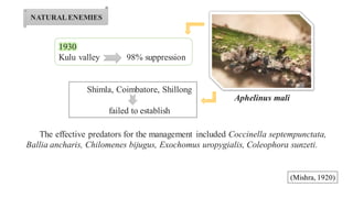 Shimla, Coimbatore, Shillong
failed to establish
Aphelinus mali
The effective predators for the management included Coccinella septempunctata,
Ballia ancharis, Chilomenes bijugus, Exochomus uropygialis, Coleophora sunzeti.
1930
Kulu valley 98% suppression
NATURALENEMIES
(Mishra, 1920)
 
