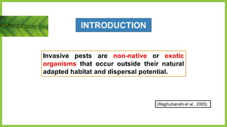 INTRODUCTION
Invasive pests are non-native or exotic
organisms that occur outside their natural
adapted habitat and dispersal potential.
(Raghubanshi et al., 2005)
 