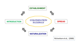 COLONIZATION
PATHWAYINTRODUCTION
ESTABLISHMENT
SPREAD
NATURALIZATION
Richardson et al.,. (2000)
 