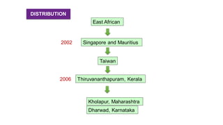 DISTRIBUTION
East African
Singapore and Mauritius2002
Taiwan
2006 Thiruvananthapuram, Kerala
Kholapur, Maharashtra
Dharwad, Karnataka
 