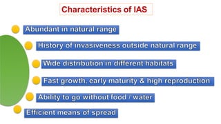 Characteristics of IAS
 