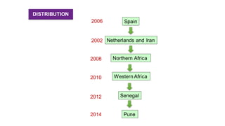 DISTRIBUTION
Spain
Netherlands and Iran2002
Northern Africa
2010 Western Africa
Senegal
Pune
2006
2008
2012
2014
 
